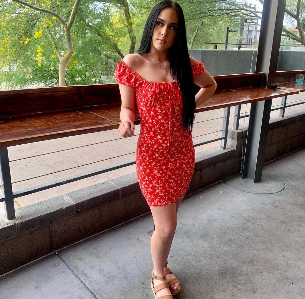 Evelyn Dress